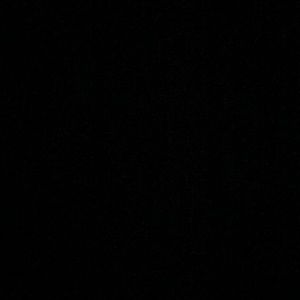 Meet your Posher, Tabby